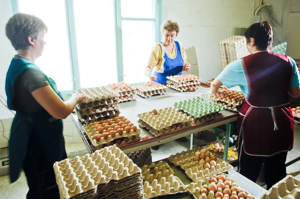 Fazenda de frango de ovo, linhas de embalagem — Fotografia de Stock