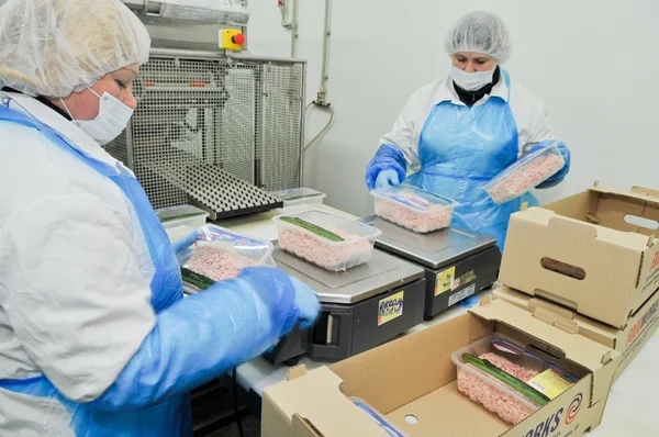 Lavorazione delle carni nell'industria alimentare — Foto Stock