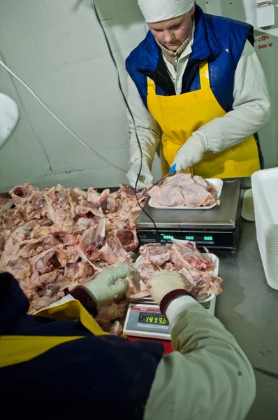 在食品工业中加工的家禽 — 图库照片