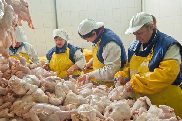 Lavorazione del pollame nell'industria alimentare — Foto Stock