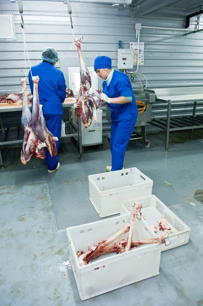 Meat factory — Stock Photo, Image