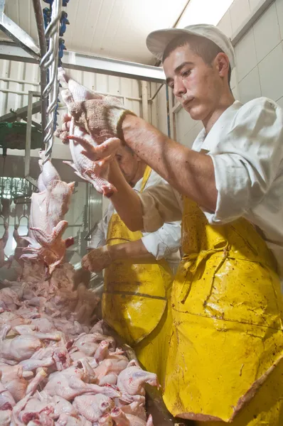 Geflügelverarbeitung in der Lebensmittelindustrie — Stockfoto
