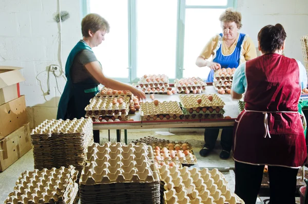 Allevamento di uova di pollo, linee di imballaggio — Foto Stock