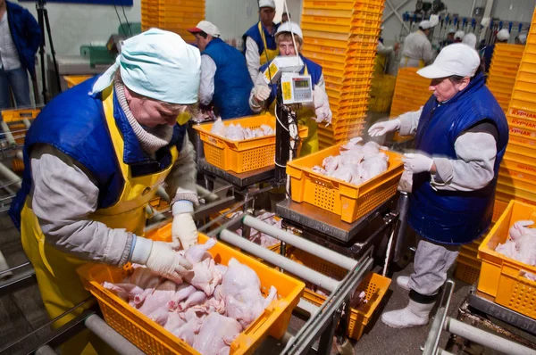 Geflügelverarbeitung in der Lebensmittelindustrie — Stockfoto