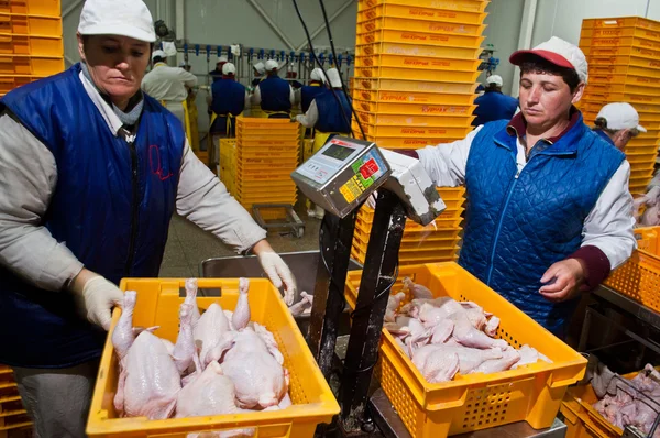 Geflügelverarbeitung in der Lebensmittelindustrie — Stockfoto