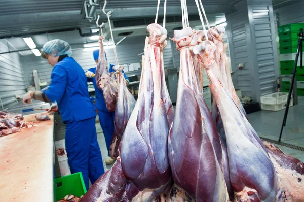 Fábrica de carne — Foto de Stock