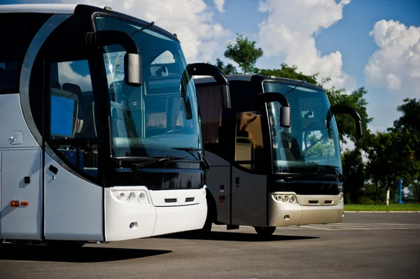 White and gray bus — Stock Photo, Image