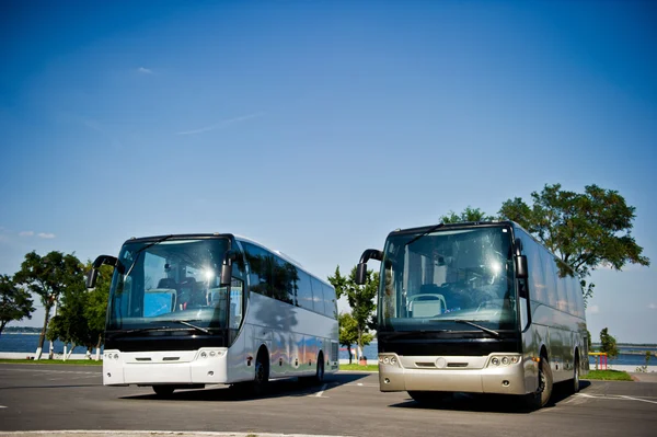 Gri ve beyaz otobüs — Stok fotoğraf