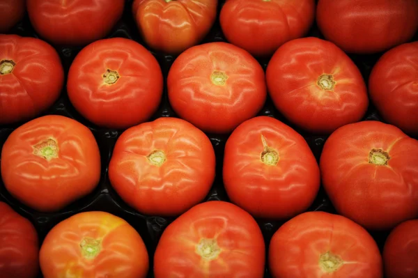 Groep van tomaten — Stockfoto