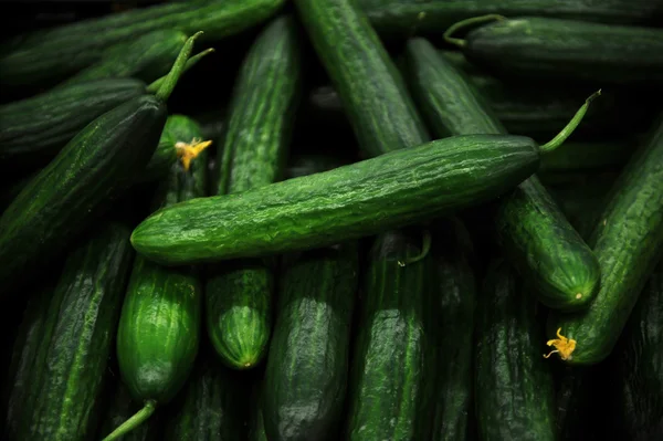 Cucumbers — Stock Photo, Image