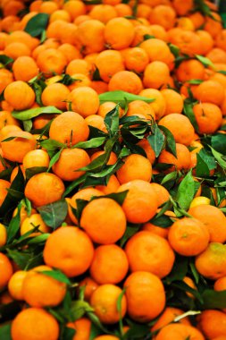 mandarins