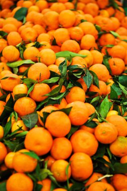 mandarins clipart