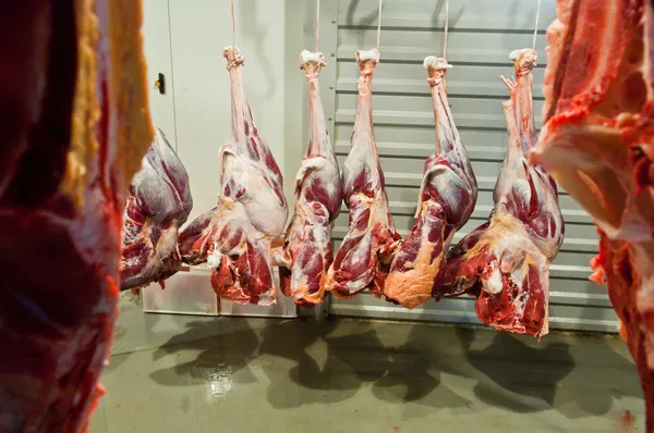 Pštrosí maso — Stock fotografie