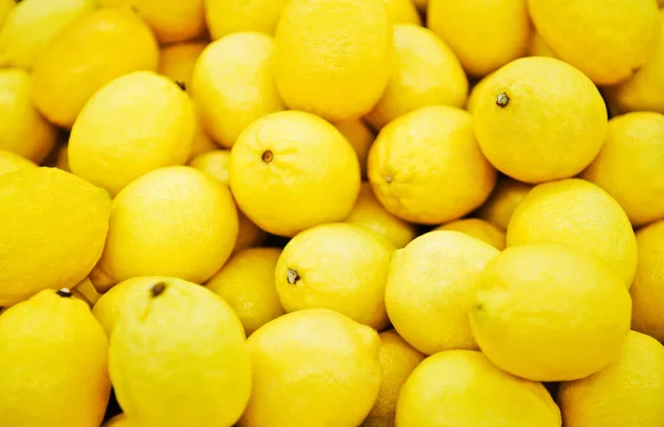 Citron - Stock-foto