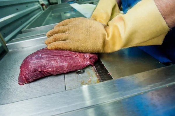 Straußenfleisch — Stockfoto