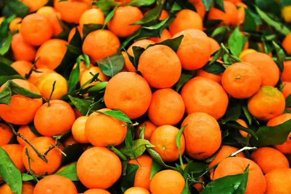 Mandarin - Stock-foto