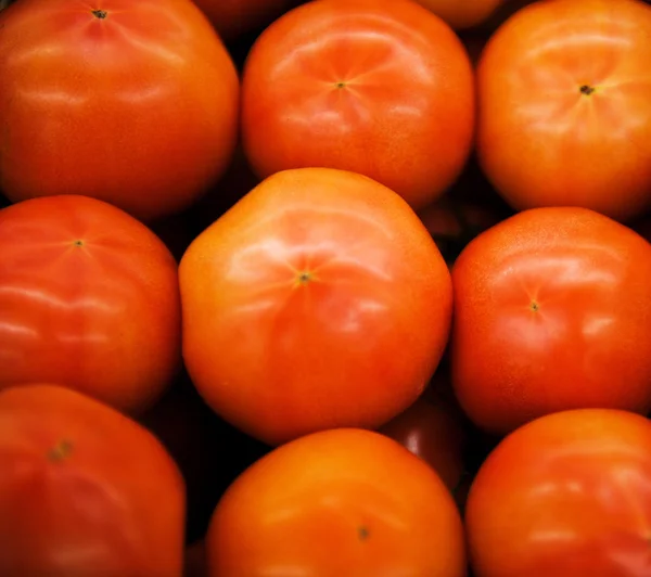 Tomates — Photo