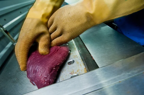 Straußenfleisch — Stockfoto