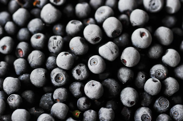 Frozen blueberries — Stock Photo, Image