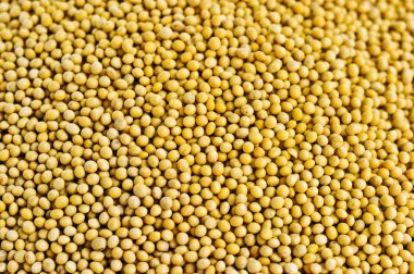 soya arka plan bir sürü
