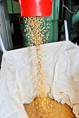 soya fasulyesi işleme tesisi