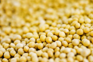 soya arka plan bir sürü