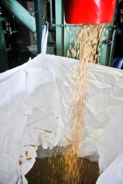 soya fasulyesi işleme tesisi