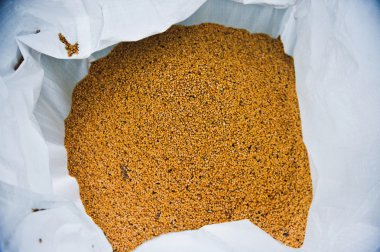 soya arka plan bir sürü