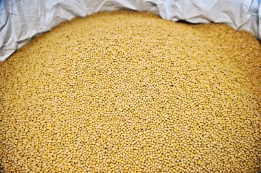 soya arka plan bir sürü