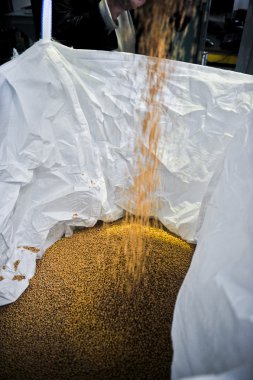 soya arka plan bir sürü