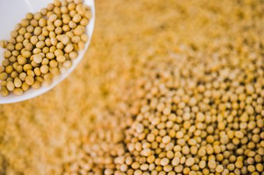 soya arka plan bir sürü