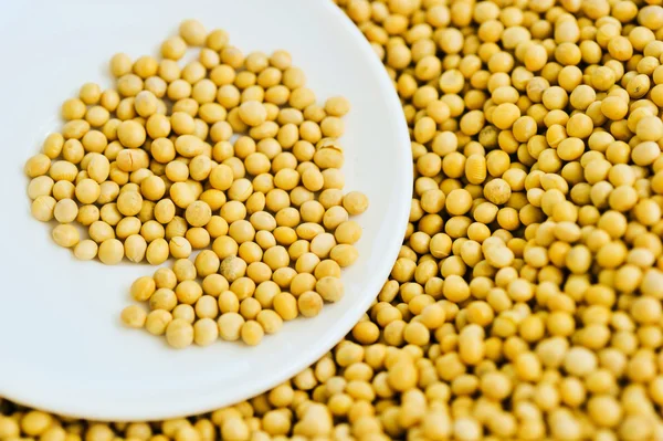 Lots of soybean background — Stock Photo, Image