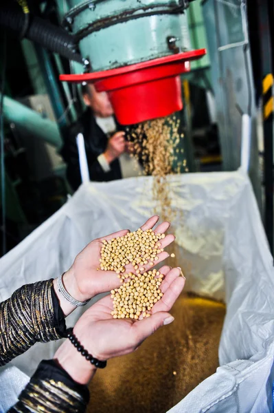 Soybean processing plant — Stock Photo, Image