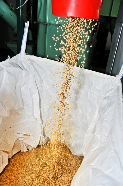 Soybean processing plant — Stock Photo, Image