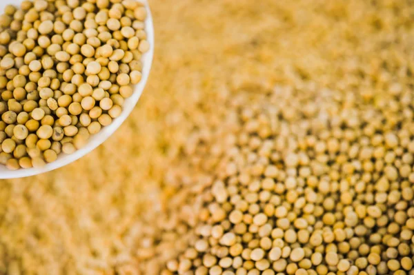 Lots of soybean background — Stock Photo, Image