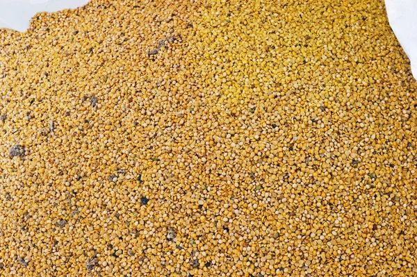Soybean waste — Stock Photo, Image