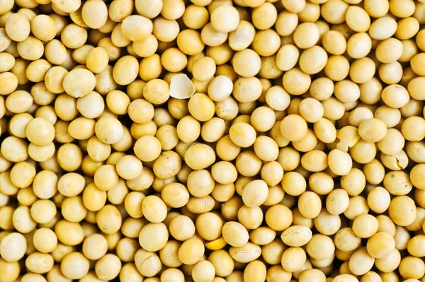 Lots of soybean background — Stock Photo, Image