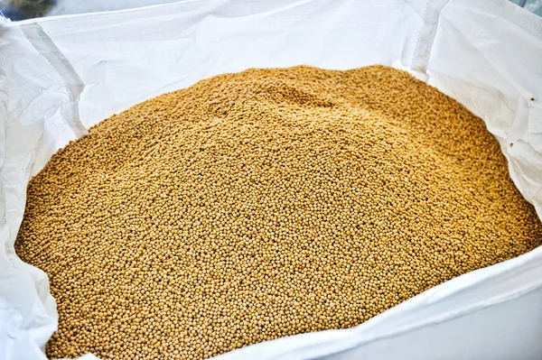 Lots of soybean background — Stock Photo, Image