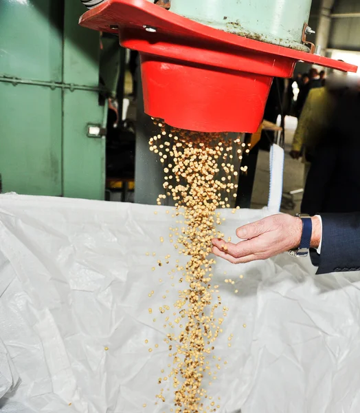 콩 가공 공장 — 스톡 사진