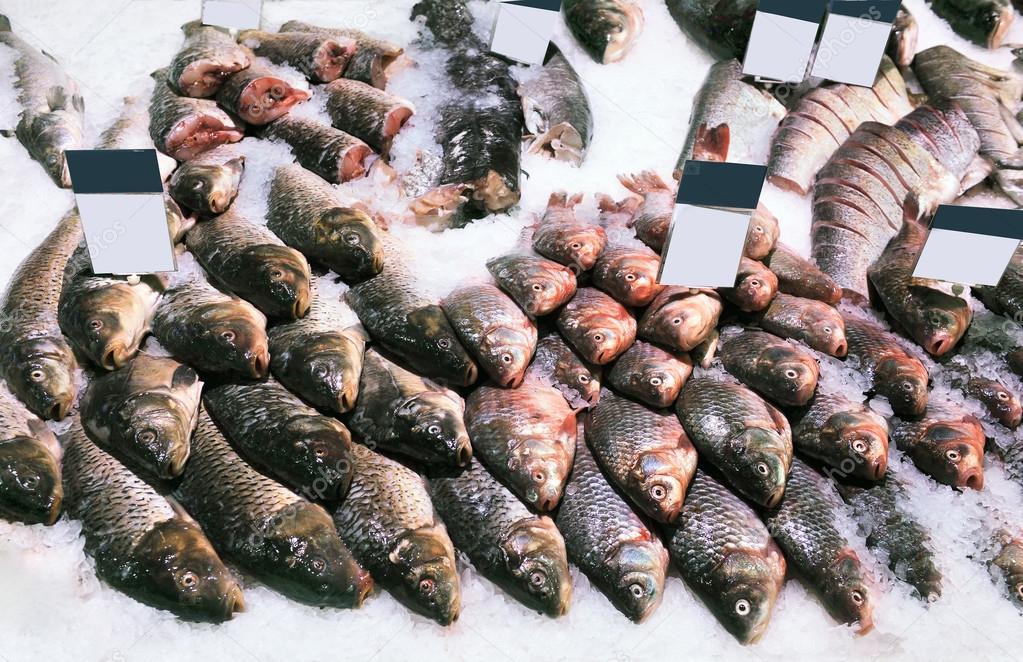 fresh river fish on ice in the store