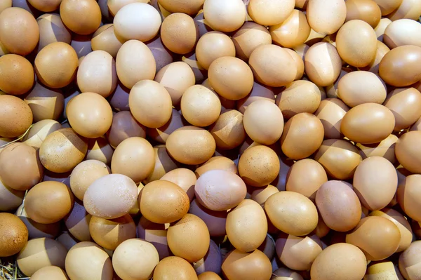 Homemade eggs — Stock Photo, Image