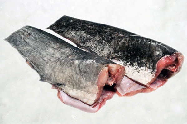 大西洋鳕鱼 — 图库照片