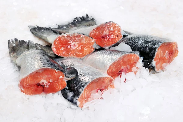 Zalm — Stockfoto