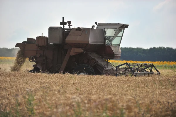 Harvester — Stock Photo, Image