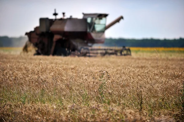 Harvester — Stock Photo, Image