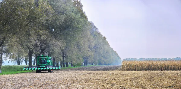 Harvester cornfield — Stock Photo, Image
