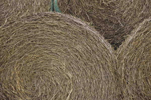 Крупный план стога сена для сельского населения — стоковое фото