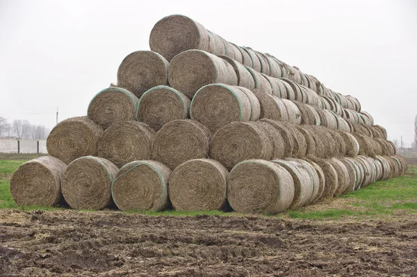 bir piramit şekli gibi yığılmış saman balya