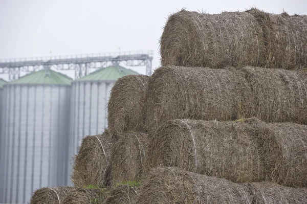 Big haystacks on the background of a granary — Stock Photo, Image