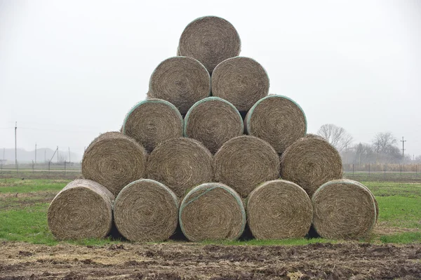 Heuballen in pyramidenartiger Form gestapelt — Stockfoto